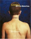 Lesbian art in America: a contemporary history