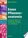 Esaus Pflanzenanatomie: Meristeme, Zellen und Gewebe der Pflanzen - ihre Struktur, Funktion und Entwicklung