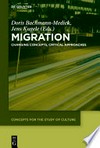 Migration: changing concepts, critical approaches